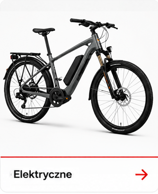 Rowery elektryczne